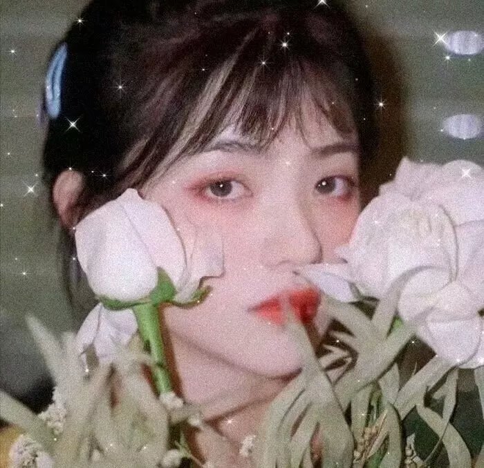 蓝眼睛波利